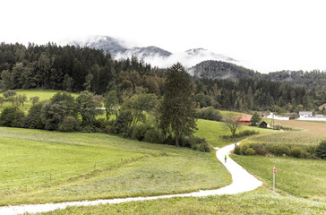 Person walking forest road into rural mountain village.