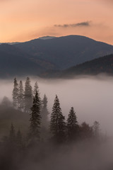 Beautiful autumn landscape in the early morning in Carpathian mountains, Ukraine.