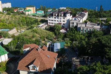 Vineyard near the sea