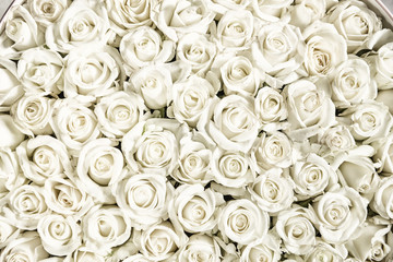Fototapeta premium Wiele białych róż to widok z góry. Zabytkowy styl.