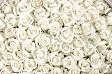 Stickers pour porte Fleurs De nombreuses roses blanches sont une vue de dessus. Style vintage.