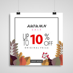 autumn sale banner background ,ten percent sale off with colorful leaf on paper billboards vector or illustration