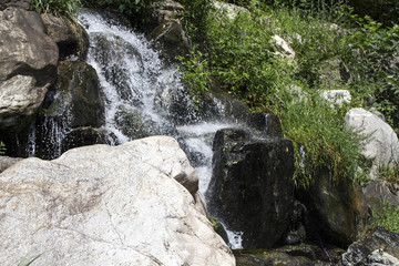 Naklejka na ściany i meble Water stream. river stream. summer brook