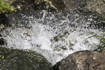 Water stream. river stream. summer brook