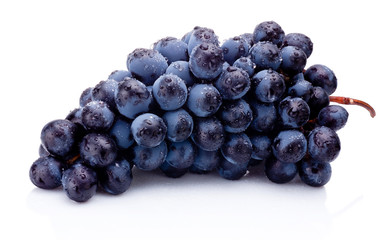 Blue grapes wet isolated on white background