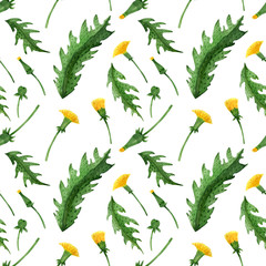 Watercolor seamless pattern of dandelion buds, flowers and leaves