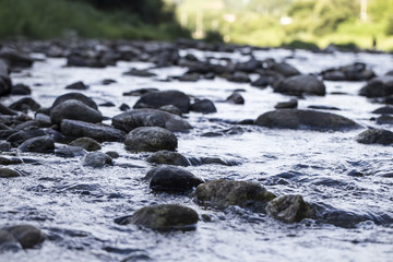Obraz premium Water stream. river stream. summer brook