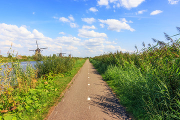 Fototapeta na wymiar Windmills At Kinderdijk, Netherlands