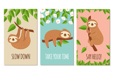 Lazy sloth. Cute slumbering sloths on branch. Child t shirt design or greeting cards vector set