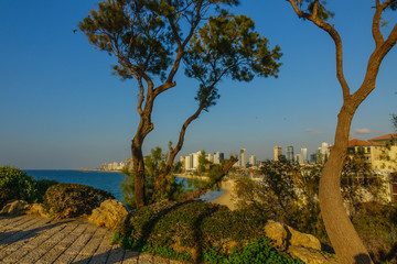 View of Tel Aviv from Abrasha Park, Yafo, Israel