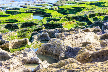 Limestone rock pools