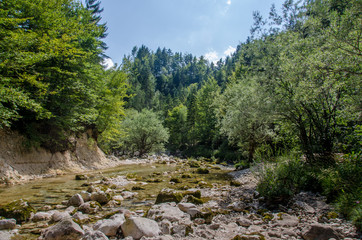 Dry river in a forest in Bohinj Slovenia