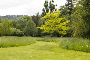 Fototapeta na wymiar view of the path in the park