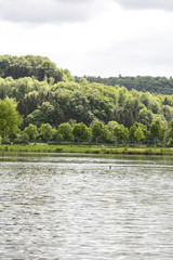 lake and trees in the background