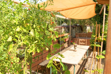 terrasse pergola 4