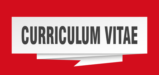 curriculum vitae