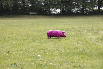 artificial small pink pig on the grass, 