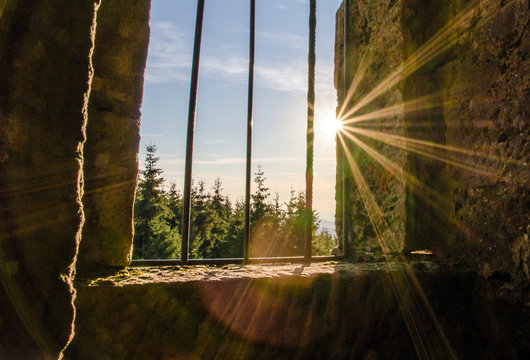 Traumhafte Aussicht auf Schwarzwald vom Hohlohturm Kaltenbronn