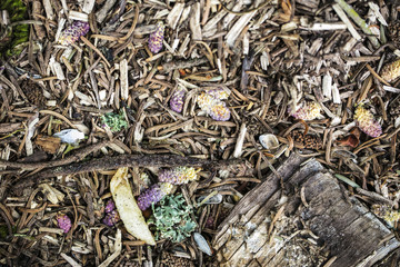 mulch for flowers from withered plants, close up, top view