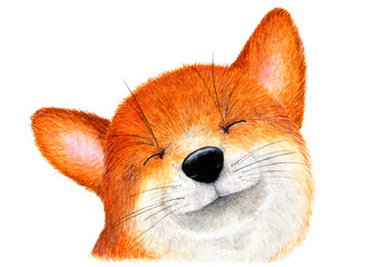 Portrait of a smiling Fox. Watercolor illustration.
Smiling Fox. Background for design, printing on paper, fabrics. Illustration for advertising.