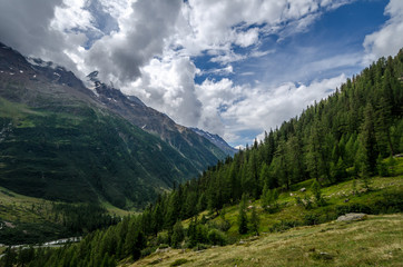 Fototapeta na wymiar View over the Lotschental Swiss