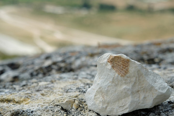 Limestone, granite texture, background of natural stone