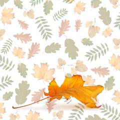 Colorful autumn foliage in chaotic order on an abstract background