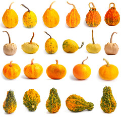 Set of pumpkins on isolated white background.