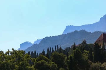 Mountains behind the trees 