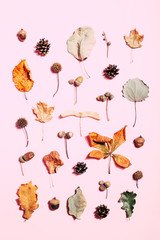 Autumn pattern made of dry leaves on pink background. Top view.