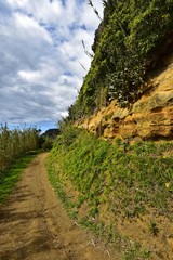Azoren - Sao Miguel - Rocha da Relva Wanderweg