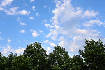 The sky with white clouds and illumination from the Sun