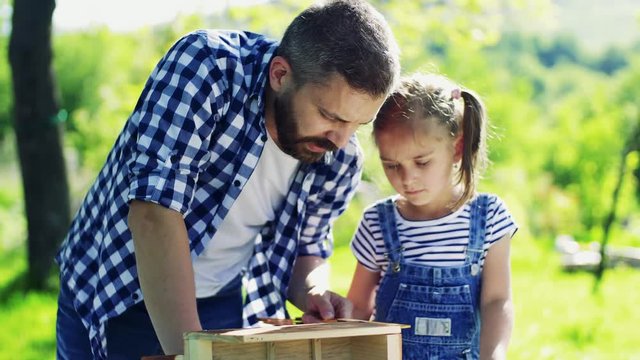 Father with a small daughter outside, making wooden birdhouse.