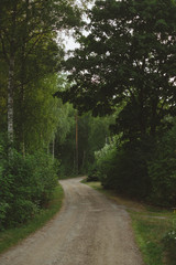 Road