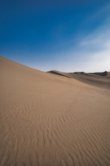 Fototapeta na wymiar desert in the morning