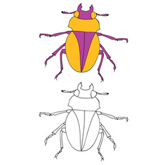isolated, insect beetle, coloring book