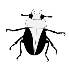 insect silhouette beetle