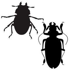vector, isolated, insect silhouette beetle