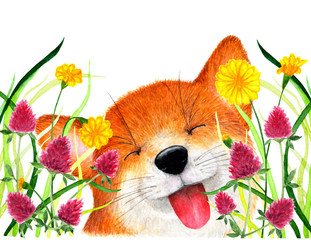 Fox sits in the grass. Watercolor illustration.
The Fox hid in the grass, the red clover. Background for design, printing on paper, fabrics. Illustration for advertising.