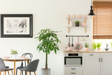 Fresh plant standing next to wooden dining table with chairs in real photo of bright kitchen...