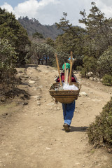 On the trails of the Himalayas