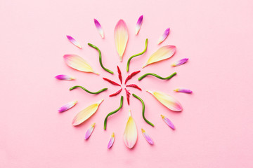 fresh colorful flower petals and leaves arranges on pink background, top view