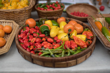 Fototapeta na wymiar Colorful peppers