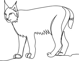 Naklejka premium lynx. Doodle. continuous sketch. one line