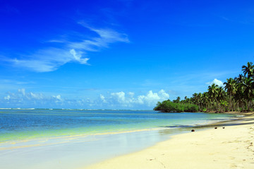 Fototapeta na wymiar Palm trees on white tropical beach. Travel background.