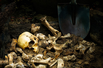 Skull and bones digged from pit in the scary graveyard.Still life image and art visual with...