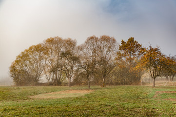 Herbstliche Baumgruppe in auflösendem Nebel bei Neckartenzlingen