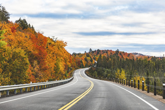 Canada, Ontario, main road through colorful trees in the Algonquin park area