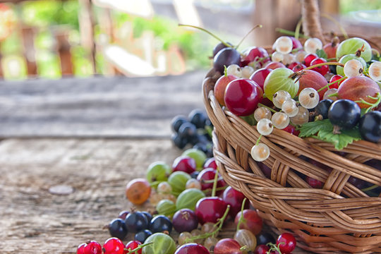 Different type of fresh berry fruits in the bucket  on wooden background.