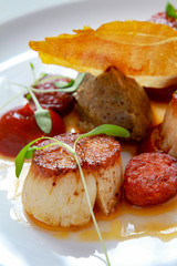 plated scallop appetizer